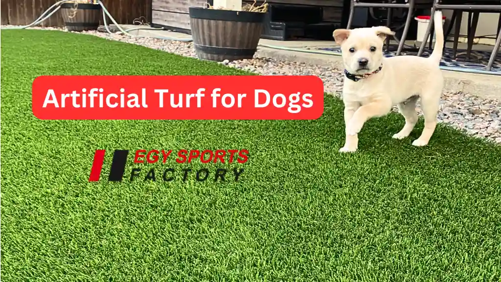 artificial turf for dogs