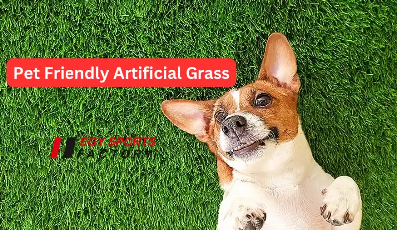 pet friendly artificial grass