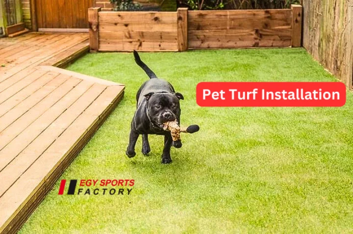 pet turf installation