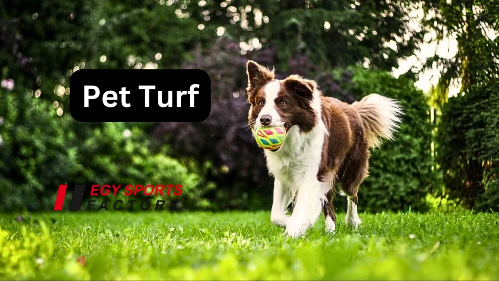 pet turf