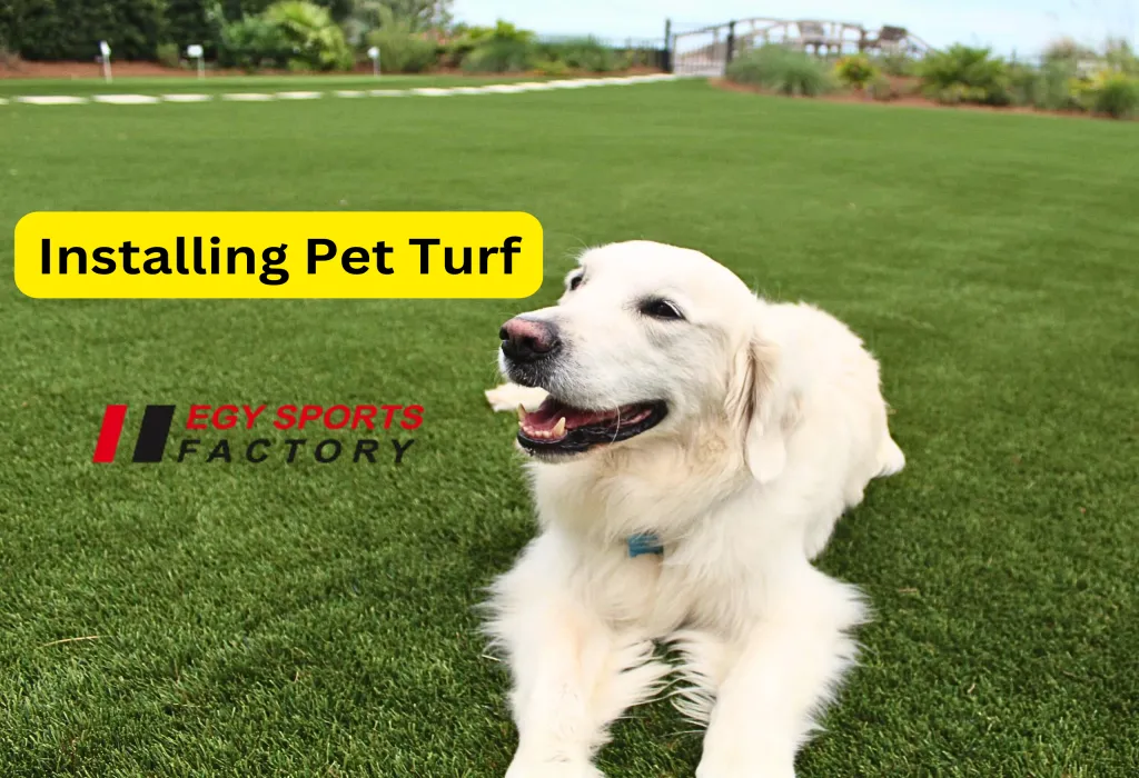 installing pet turf